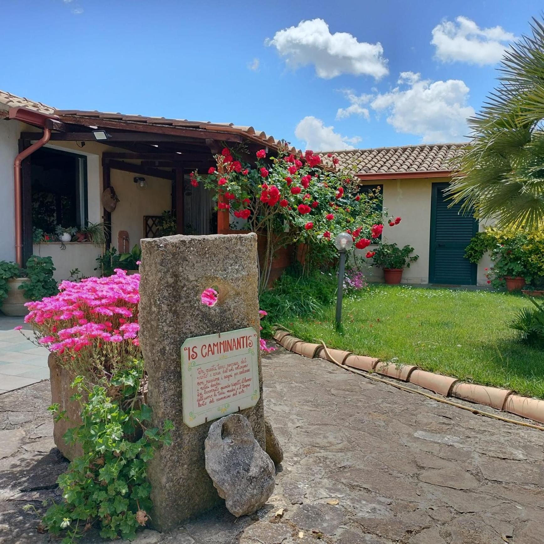 B&B Is Camminantis Nurallào エクステリア 写真